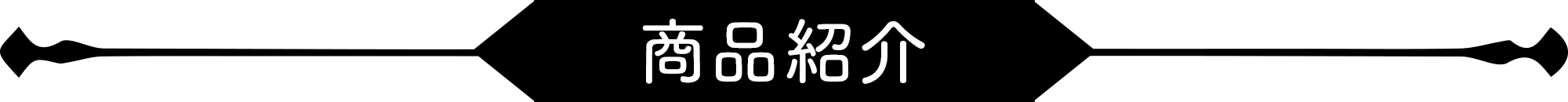 商品説明